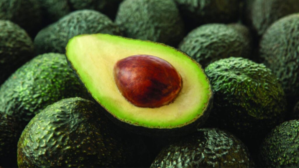 Agroexportación Perú 2025